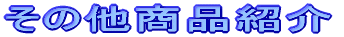 ̑iЉ